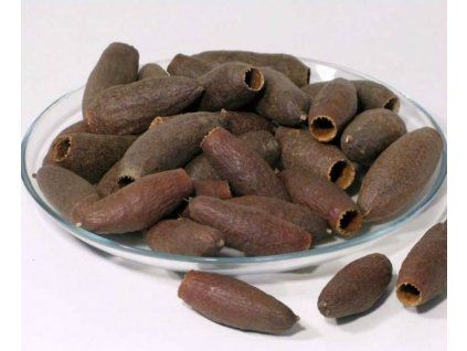 Creephole pods 6-9cm