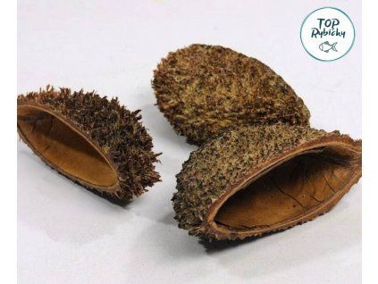 bolsa pod