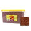 tropical cichlid carnivore medium pellet